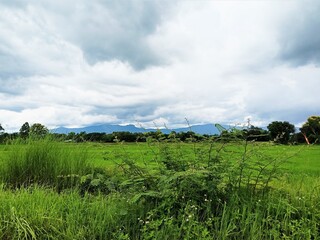 Dramatic blue sky with green fields in the countryside