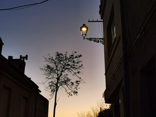 Fototapeta na wymiar Vecchio lampione in ferro battuto e sagoma di albero in un tramonto purpureo
