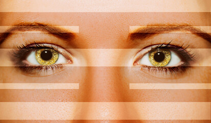 A beautiful insightful look woman's eyes.