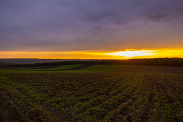 landscape with a sunset over an agricultural field in the autumn