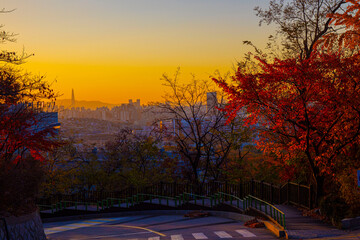 dawn in seoul