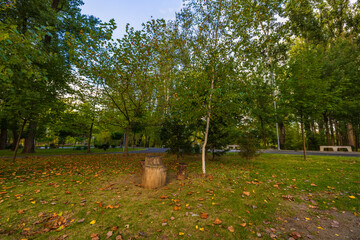 a beautiful autumn landscape in the park on an October day