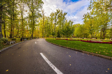 a beautiful autumn landscape in the park on an October day