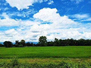 Dramatic blue sky with green fields in the countryside