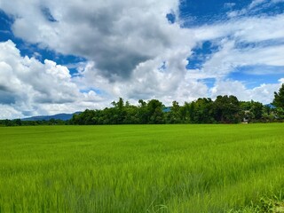 Dramatic blue sky with green fields in the countryside