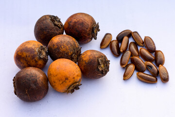Dry Indian ebony or Tendu (Diospyros Melanoxylon) or Coromandel ebony fruit isolated on the white background.