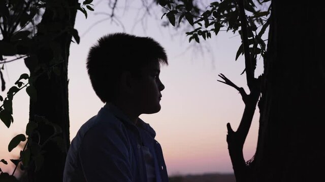 childhood, portrait of handsome boy sitting on tree and looking at sky and sunset on warm evening while relaxing outdoors, silhouette