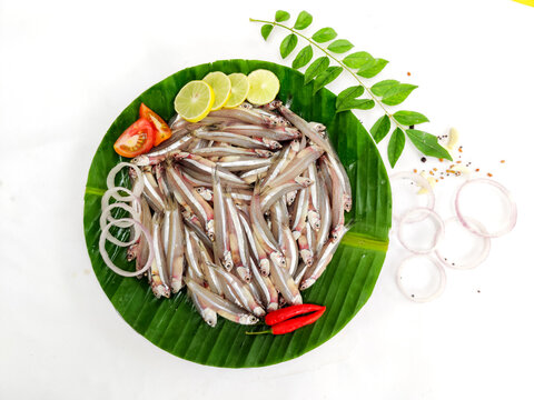 Fresh Anchovy fish decorated with Lemon slice and herbs.
