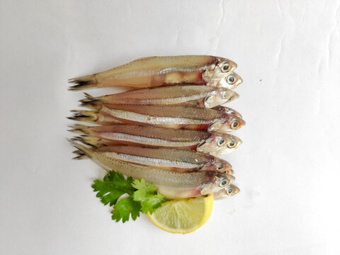 Fresh Anchovy fisesh decorated with Lemon slice and herbs.