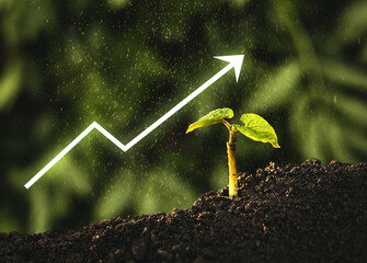 Seedling are growing from the rich soil with digital arrow  graph. Concept of business growth,...