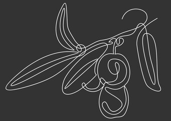 Fototapeta premium Line icon olives -Continuous one line drawing