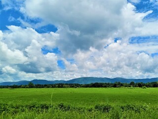 Obraz premium Dramatic blue sky with green fields in the countryside
