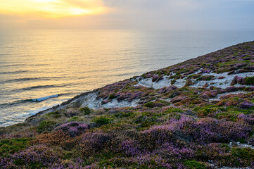 Sunset and little wave on wild purple coast