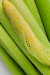 Baby corn husks, baby corn, white background