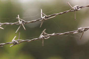 Barbed wire close up with green blurred background
