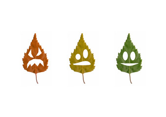 set of autumn leaves with different emotions on