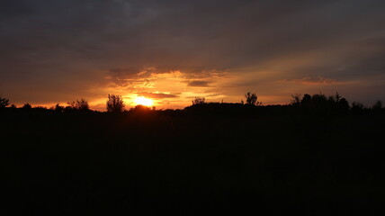 sunset in the field