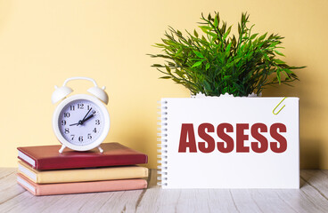 ASSESS is written in a notebook next to a green plant and a white alarm clock, which stands on colorful diaries.