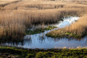 Voyage en Bretagne .