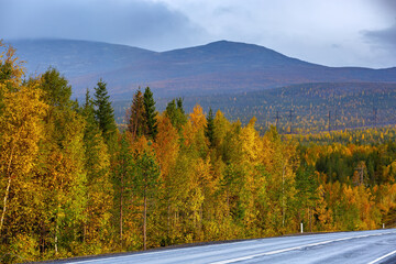 The road in the autumn forest in the highlands in the north of Russia. Kola Peninsula.