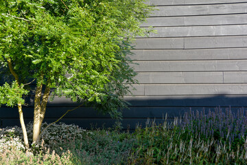 Tree and plants on a wooden house wall