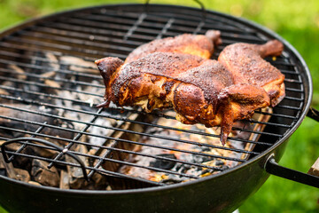 Traditional spatchcocked barbecue chicken al mattone on charcoal grill.