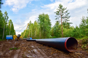 Natural gas pipeline construction work in forest area. Installation of  gas and crude oil pipes. Construction of gas pipes to new LNG plant.