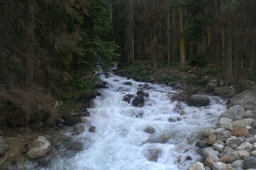 waterfall in the forest