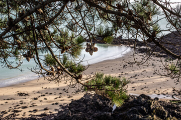 Voyage en Bretagne .