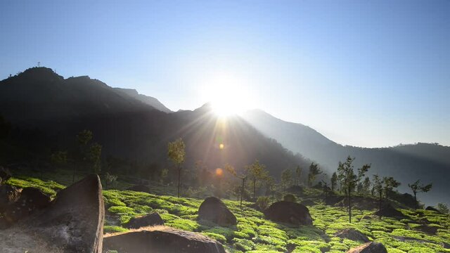 Sunrise over mountains and tea plantations at Munnar, India.