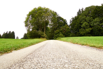 Feldweg mit Bäumen