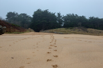 Voyage en Bretagne .