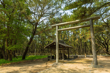 日本　佐賀県唐津市、日本三大松原の一つで特別名勝の虹の松原の鳥居