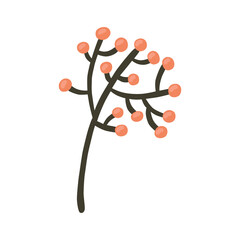 Vector illustration: sprig of mountain ash in hand draw hygge style.