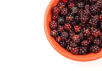 Blackberry (rubus) in bowl