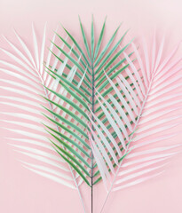 Palm leaves of various pastel colors. Minimalistic composition. Creative poster