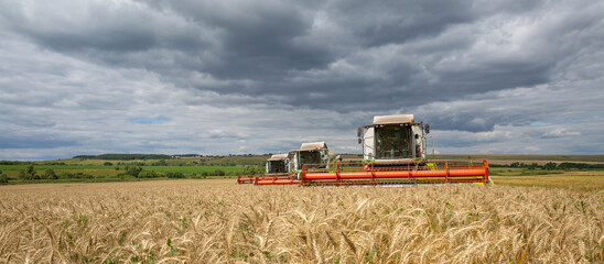 combine harvester removes wheat. Sunny day, cloudy sky. Autumn