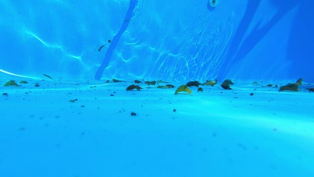 Underwater view of vacuum cleaner at bottom of swimming pool.