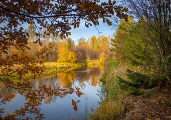 Fototapeta premium view of a calm river, autumn, Sunny day. In the foreground are beautiful twigs and leaves. Reflection