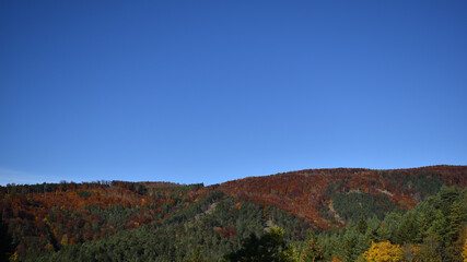 Herbstliche Stimmung auf Hügeln mit buntem Wald und blauem Himmel in Österreich, Niederösterreich für Urlaub und Tourismus 