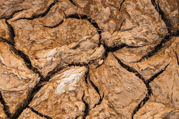 Cracked soil background Drought concept