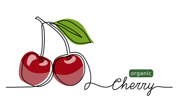 Cherry vector illustration. One line drawing art color illustration with lettering organic cherry.