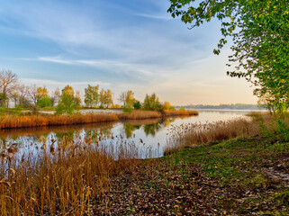 Picture of Headland on Pogoria III Lake in Dabrowa Gornicza, Poland.