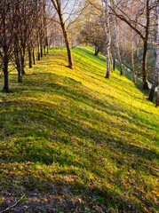 Long shadows on the steep slope.