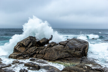 Windy waves 