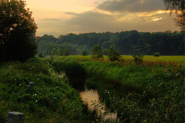 Landscape of Bloodsucking Meadows in Dabrowa Gornicza.