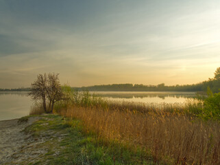 Landscape photo with a lone tree at the Pogoria III Lake.