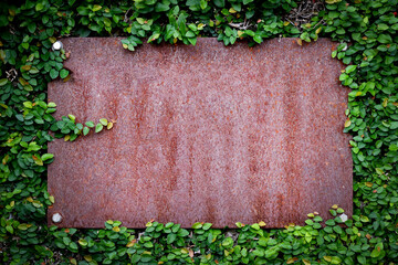 A rusty iron plate for writing messages, surrounded by branches and leaves.