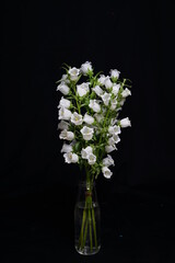 flowers bouquet of white bells on a black background
