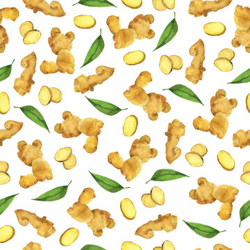 Seamless pattern with fresh ginger root and green leaves on white background. Hand drawn watercolor illustration.